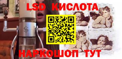 ГАЛЛЮЦИНОГЕННЫЕ ГРИБЫ Сланцы
