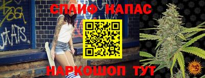 СК Славгород