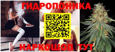 ГАЛЛЮЦИНОГЕННЫЕ ГРИБЫ Сланцы