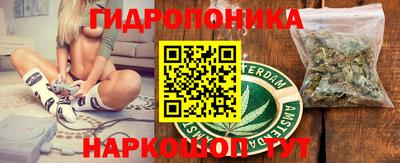 СК Славгород