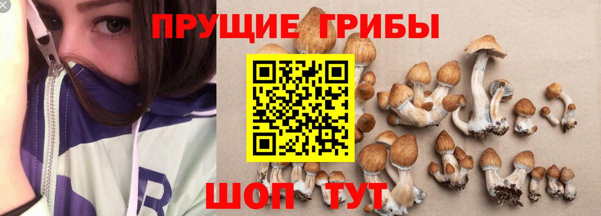 Магадан  Псилоцибиновые грибы MAGIC MUSHROOMS  Вход с VPN  Псилоцибиновые грибы Magic Shrooms 